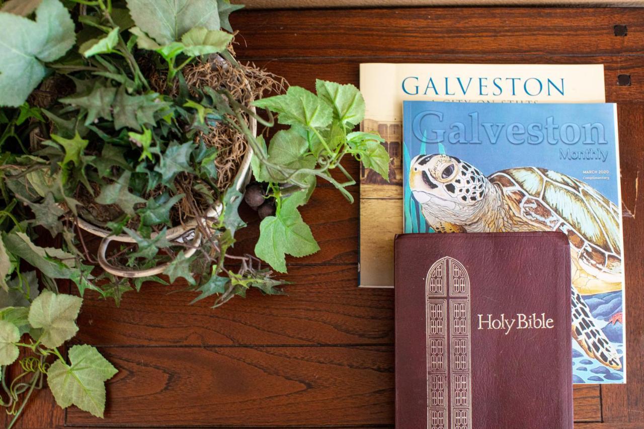 Relax At Our Beach Haven - Pet Friendly Galveston Exterior photo